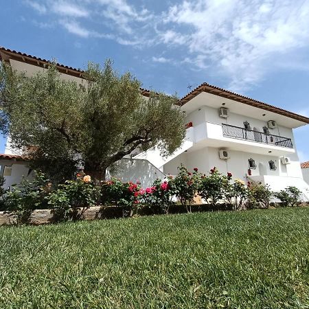 Marios Garden House Afytos Exterior foto