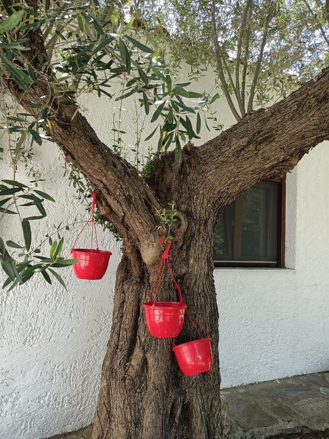 Marios Garden House Afytos Exterior foto