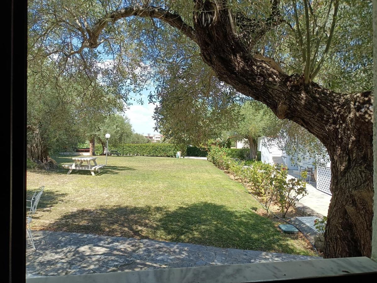 Marios Garden House Afytos Exterior foto